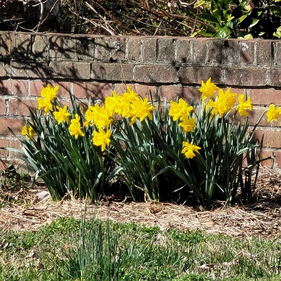 Meet your Posher, Virginia - Picture 1 of 1